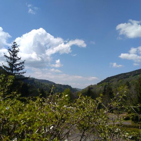 Le Relais Charraud Daire Le Mont-Dore Dış mekan fotoğraf